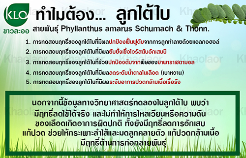 ยาเม็ดลูกใต้ใบ ขาวละออ ตราดอกว่าน 100 เม็ด