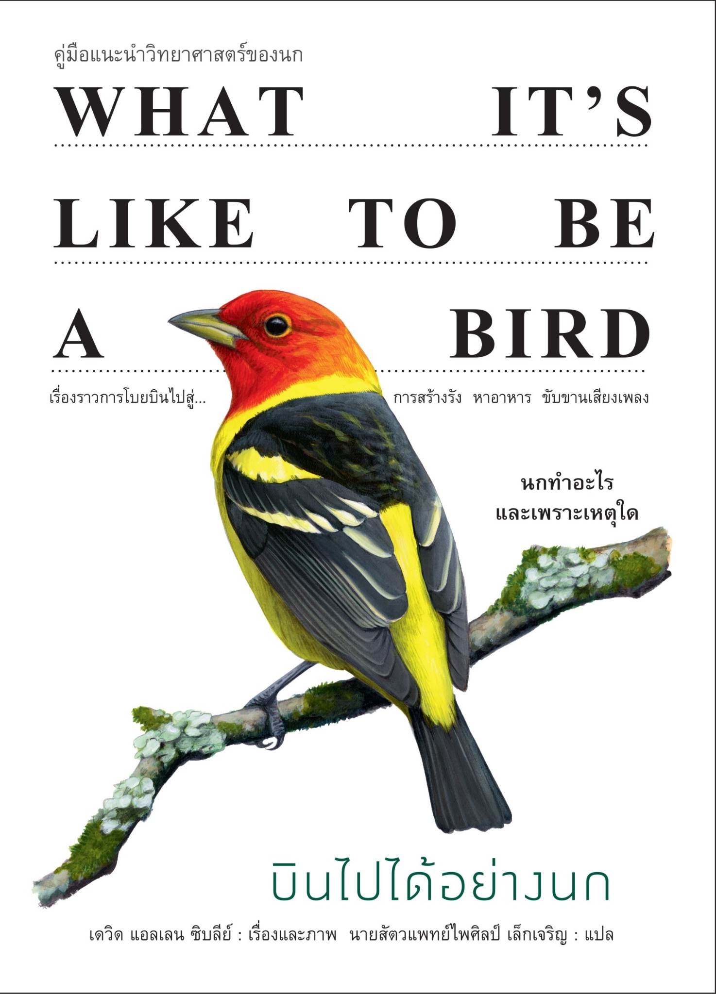 บินไปได้อย่างนก What it’s like to be a bird