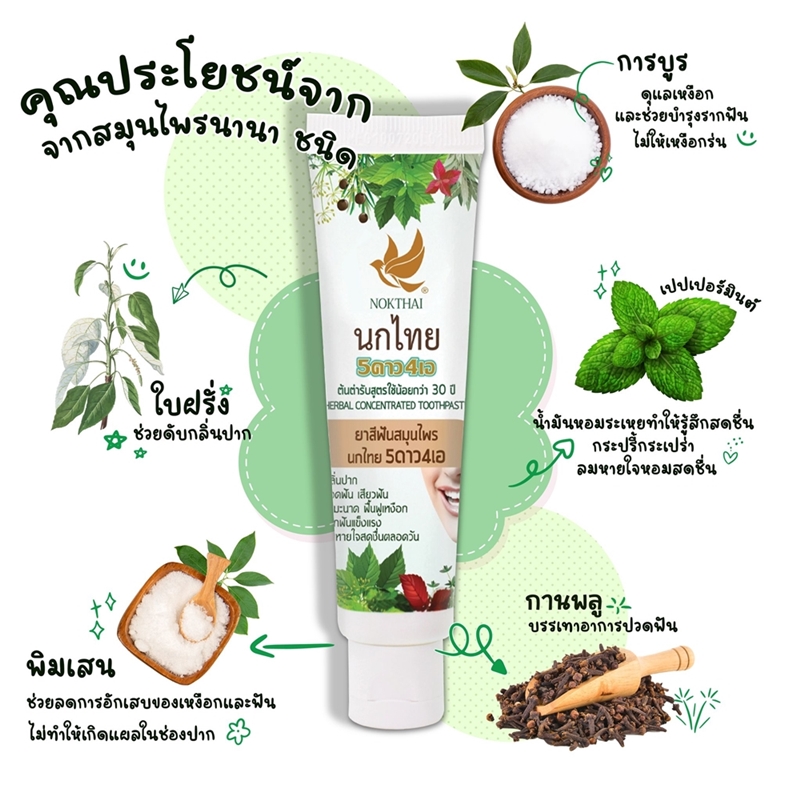 ยาสีฟัน 5ดาว4เอ (นกไทย) ยาสีฟันสมุนไพรสูตรเข้มข้น (50 กรัม)