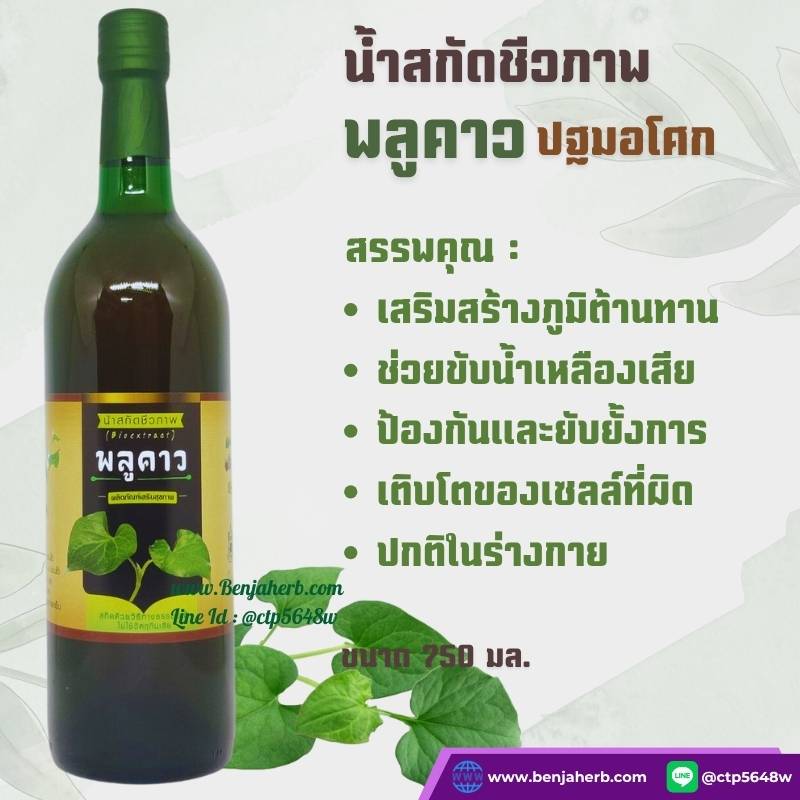 น้ำสกัดชีวภาพพลูคาว (ปฐมอโศก) 750 มล.