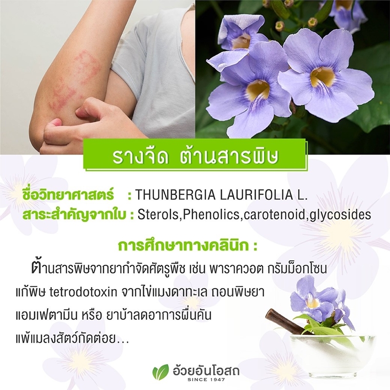 ยาแคปซูลผสมรางจืด อ้วยอันโอสถ Herbal One