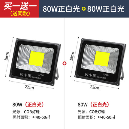 โคมไฟสนาม ขนาดกลาง หลอด COB ขนาด 80 Watt แบบแพคคู่