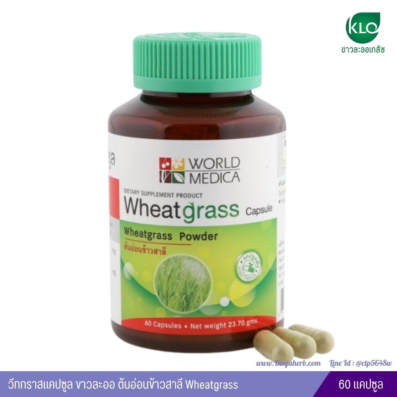 วีทกราสแคปซูล ขาวละออ ต้นอ่อนข้าวสาลี Wheatgrass 60 แคปซูล