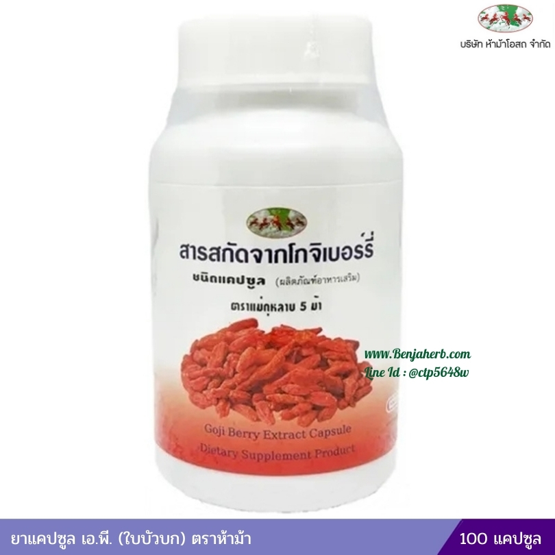 โกจิเบอร์รี่ สารสกัดจากโกจิเบอร์รี่ชนิดแคปซูล ตราแม่กุหลาบ 5 ม้า ห้างขายยาห้าม้าโอสถ