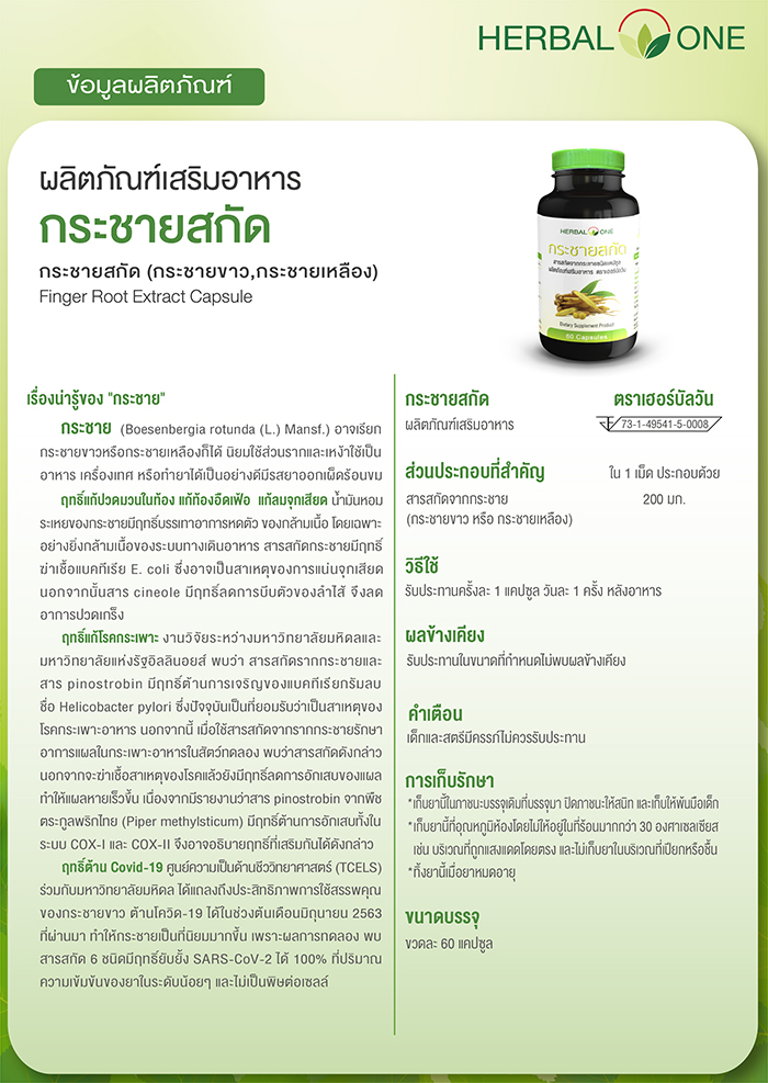 กระชายขาวสกัดแคปซูล อ้วยอันโอสถ เฮอร์บัลวัน Herbal One