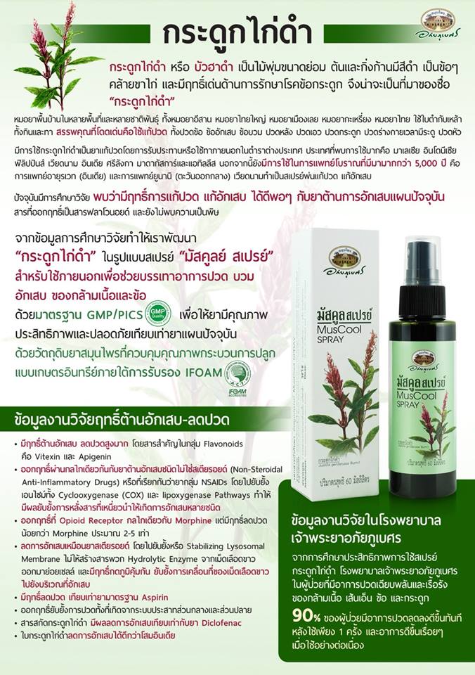 มัสคูลสเปรย์ อภัยภูเบศร (สเปรย์กระดูกไก่ดำ)