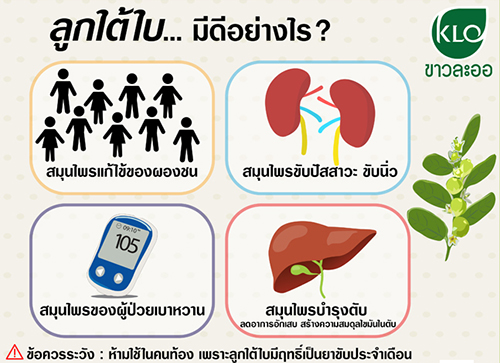 ยาเม็ดลูกใต้ใบ ขาวละออ ตราดอกว่าน 100 เม็ด