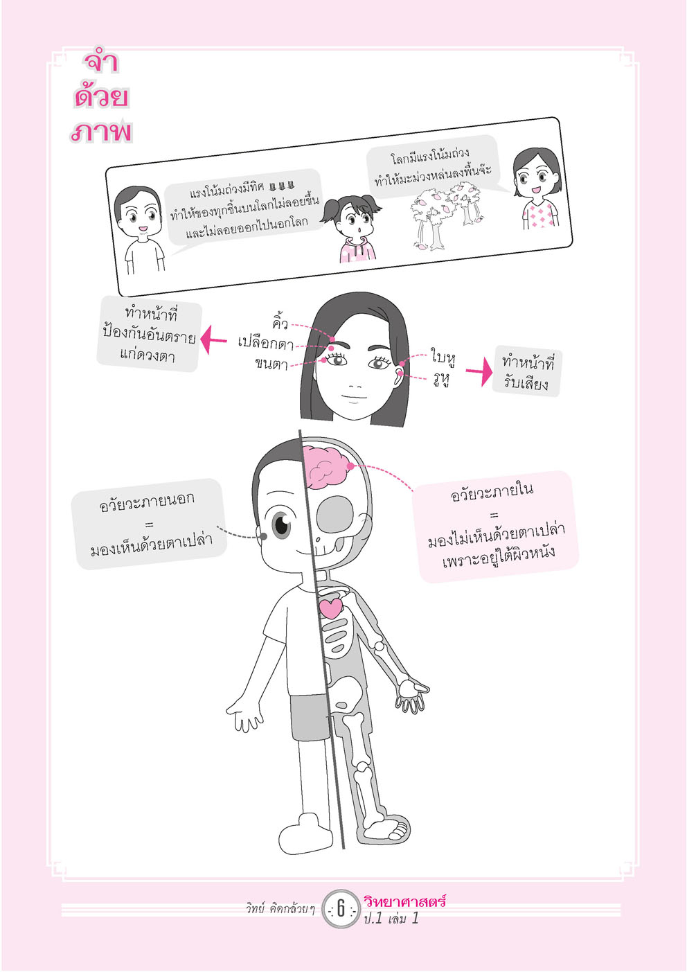 วิทย์คิดกล้วยๆ วิทยาศาสตร์ ป.1 เล่ม 1 (หลักสูตรใหม่) โดย พ.ศ.พัฒนา