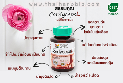 คอร์ดิเซพส์ แอล ขาวละออ (ถั่งเฉ้า สูตรผู้หญิง) 36 แคปซูล Cordyceps L