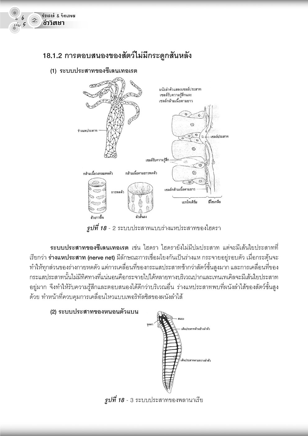 คู่มือ ชีววิทยา เพิ่มเติม ม. 6 เล่ม 5 (หลักสูตรใหม่) โดย พ.ศ.พัฒนา