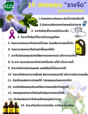 สรรพคุณรางจืด