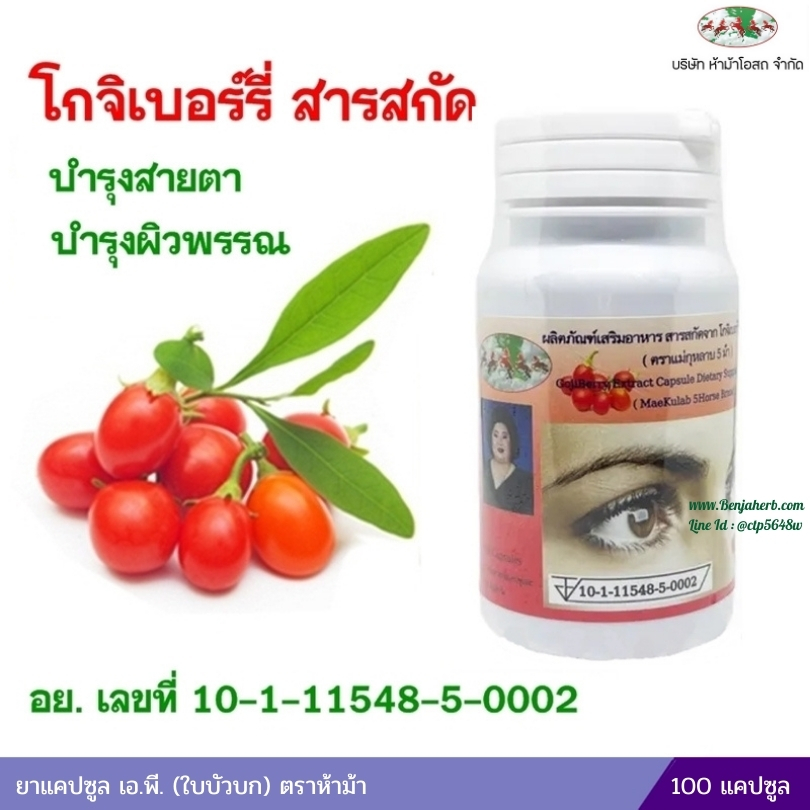 โกจิเบอร์รี่ สารสกัดจากโกจิเบอร์รี่ชนิดแคปซูล ตราแม่กุหลาบ 5 ม้า ห้างขายยาห้าม้าโอสถ