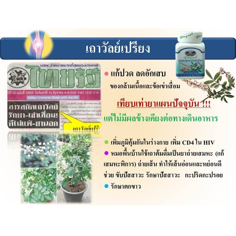 แคปซูลเถาวัลย์เปรียง อภัยภูเบศร