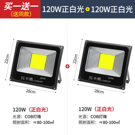 โคมไฟสนาม ขนาดกลาง หลอด COB ขนาด 120 Watt แบบแพคคู่ Bekao
