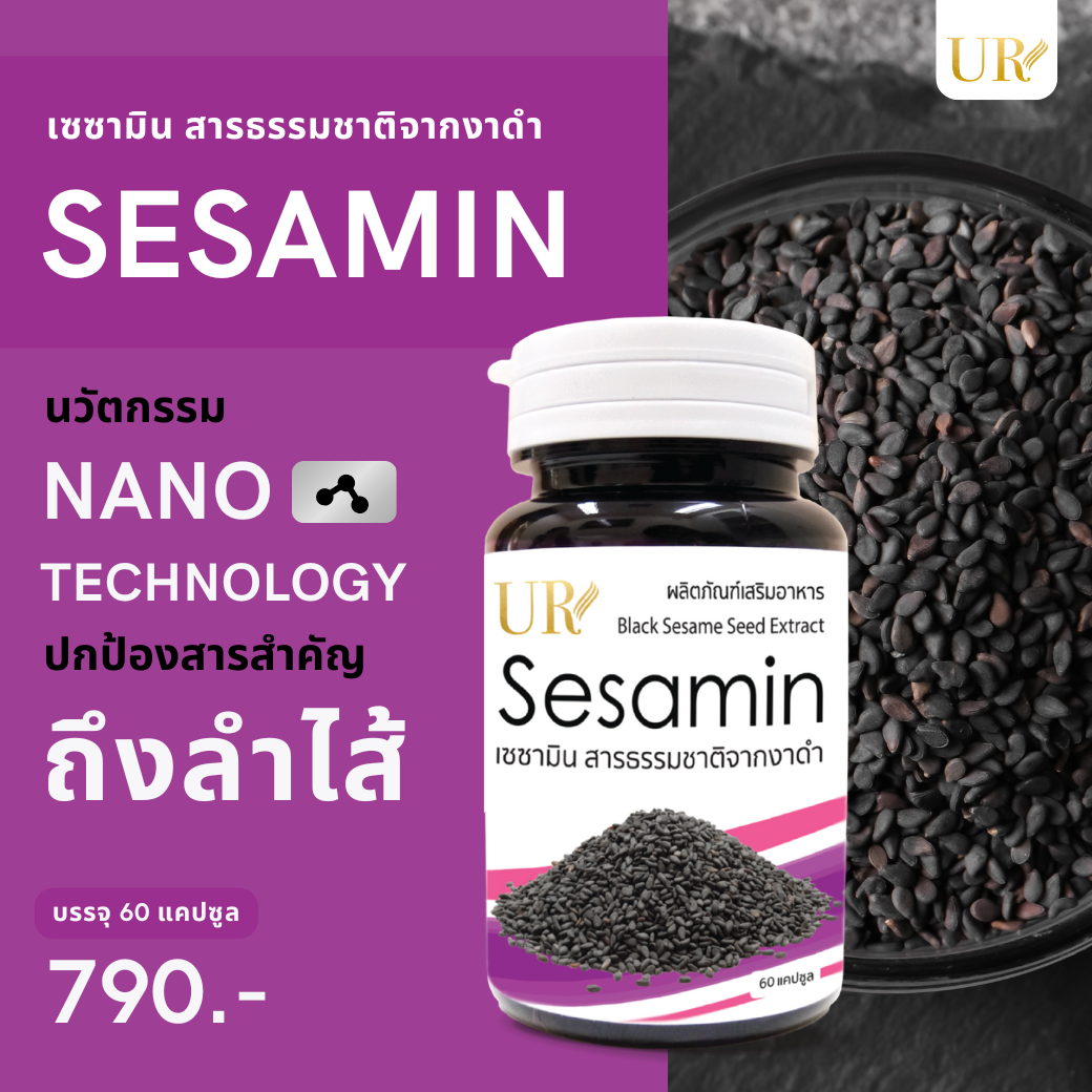 เซซามิน สารธรรมชาติจากงาดำ X3 แถมน้ำมันงาดำสกัดเย็น 30 แคปซูล