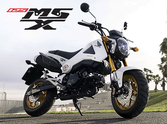 CD คู่มือซ่อม วงจรไฟฟ้า มอเตอร์ไซค์ Honda MSX125 (EN)