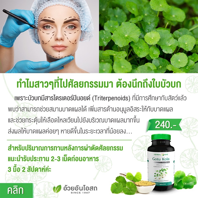 สารสกัดจากใบบัวบก อ้วยอันโอสถ Gotu Kola Herbal One