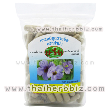 ยาแคปซูลรางจืด ห้าม้าโอสถ (ถุง)