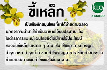 ขี้เหล็ก