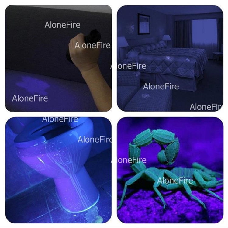 ไฟฉายพกพา UV AloneFire รุ่น 10 W USB Type - C SV-005