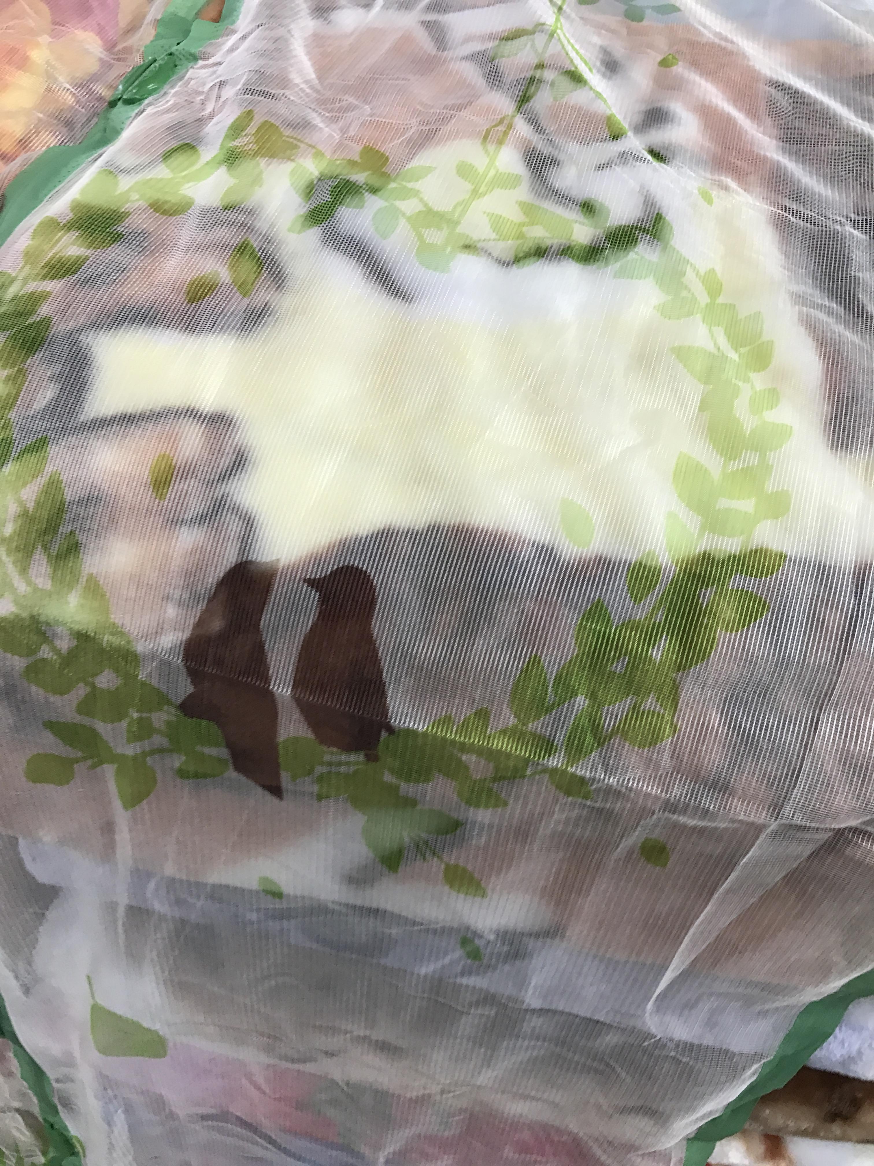 ม่านกันแมลง มุ้งกันยุง แบบติดประตู 139.- ส่งฟรี ขนส่งเอกชน