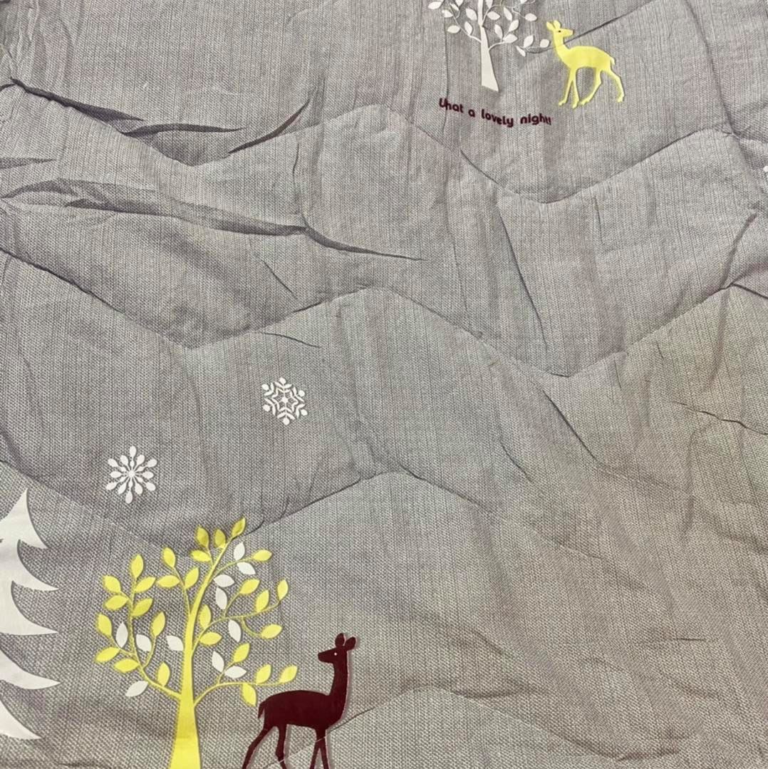 Sale 👍ผ้าห่มใยไหม 6 ฟุต ราคาพิเศษ นุ่มนิ่มมากๆ ไม่หนาไม่บาง กำลังดี