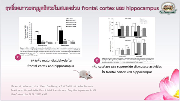 อภัยบี อภัย-บี กลีบบัวแดงชนิดแคปซูล อภัยภูเบศร