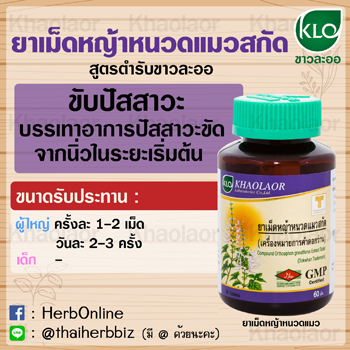 ยาเม็ดหญ้าหนวดแมวสกัด