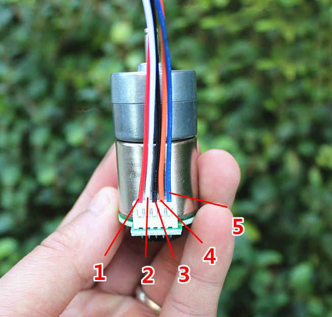 มอเตอร์เกียร์ DC 12V พร้อม Encoder วัดรอบ Geared Motor with Encoder 64 RPM