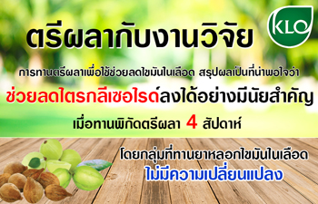 ตรีผลากับงานวิจัย