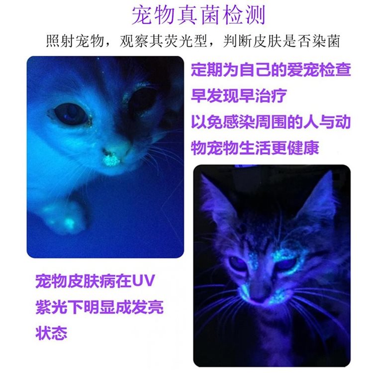 ไฟฉายพกพา UV AloneFire SV-38 365 Nm , USB Type - C พร้อมแว่นตากันแสง UV 1 อัน แบตเตอรี่ 2 ก้อน