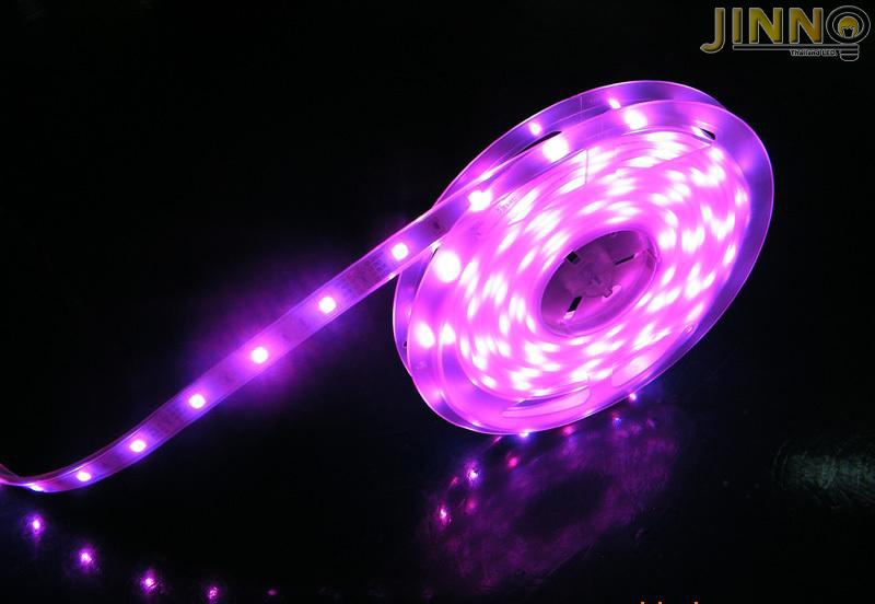 ไฟริบบิ้น 12v รุ่น 3528 IP65 : แบบกันน้ำ