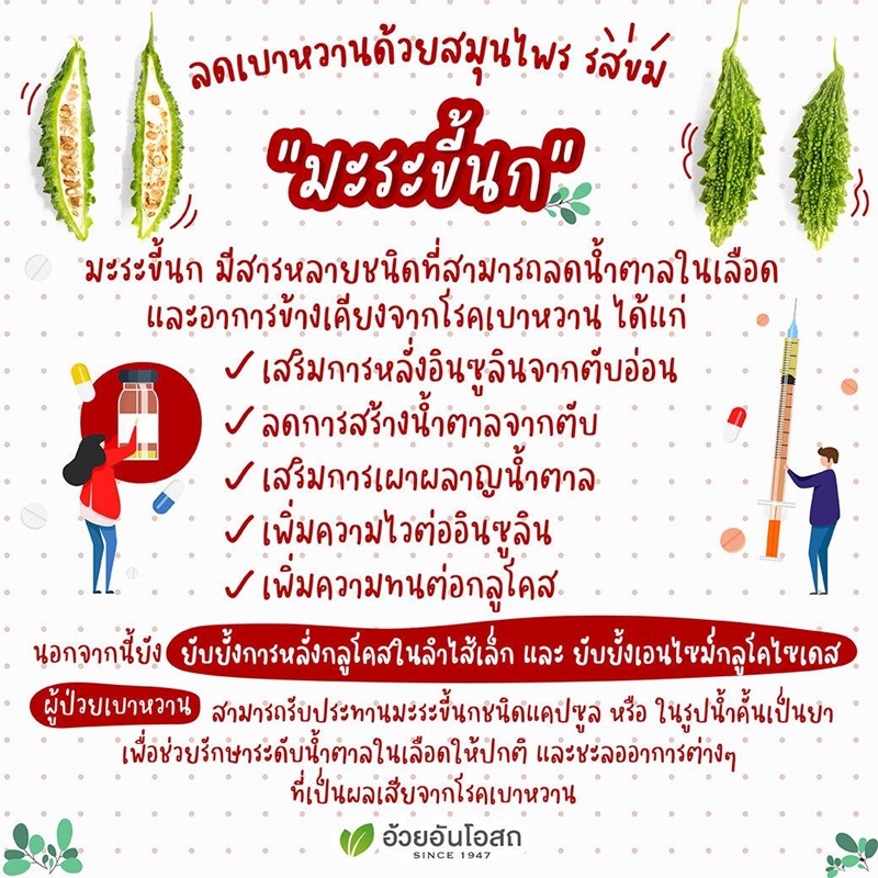 มะระขี้นกสกัดชนิดแคปซูล อ้วยอันโอสถ Herbal One