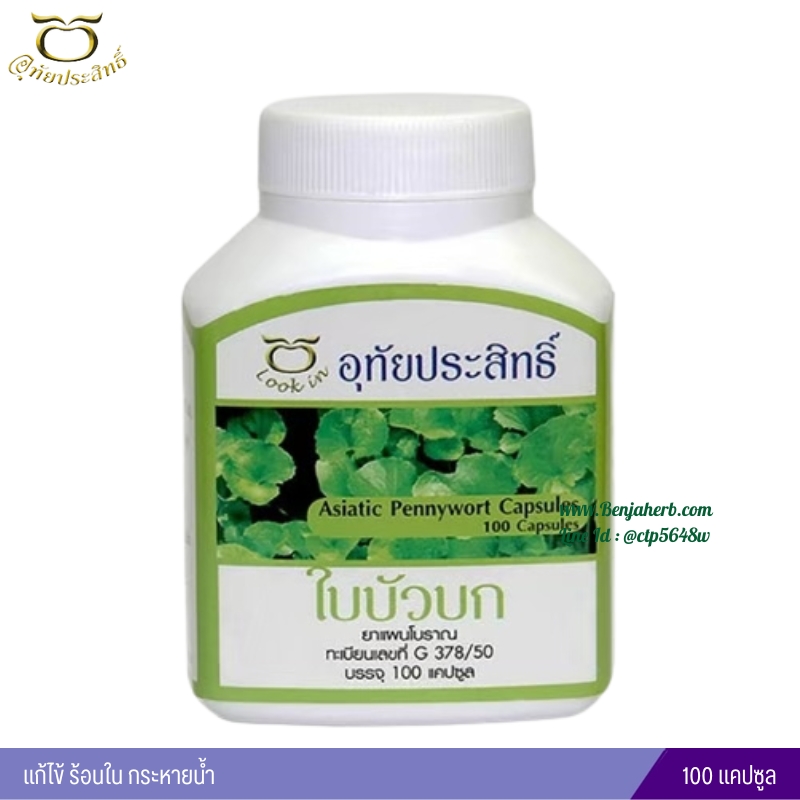 ใบบัวบกแคปซูล อุทัยประสิทธิ์ หมอลูกอินทร์
