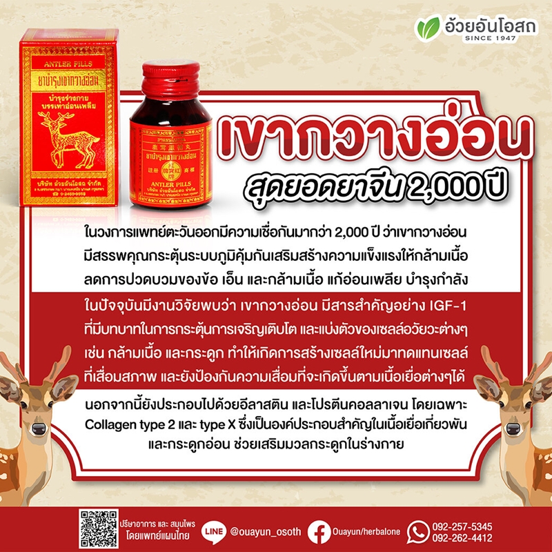 ยาบำรุงเขากวางอ่อน อ้วยอันโอสถ (เม็ดเล็ก) บำรุงร่างกาย บรรเทาอาการอ่อนเพลีย