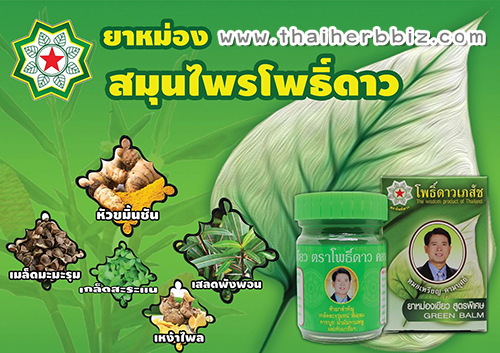 ยาหม่องเขียวตราโพธิ์ดาว ยาหม่องสมุนไพรโพธิ์ดาว โพธิ์ดาวเภสัช สูตรพิเศษ 50 กรัม ยาหม่องคลายเส้น