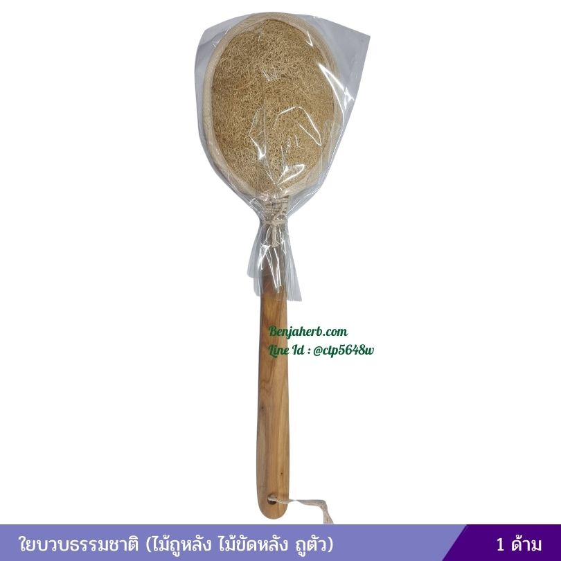 ใยบวบธรรมชาติ วงรีมีด้าม (ไม้ถูหลัง ไม้ขัดหลัง ถูตัว)