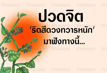 เพชรสังฆาตขาวละออ