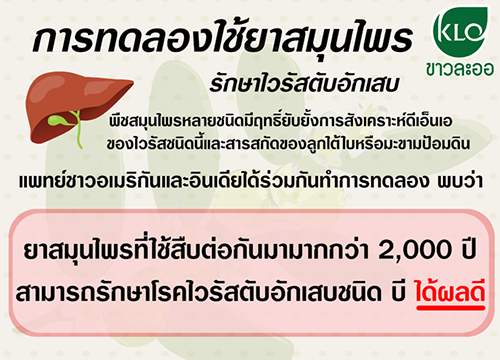 ยาเม็ดลูกใต้ใบ ขาวละออ ตราดอกว่าน 100 เม็ด