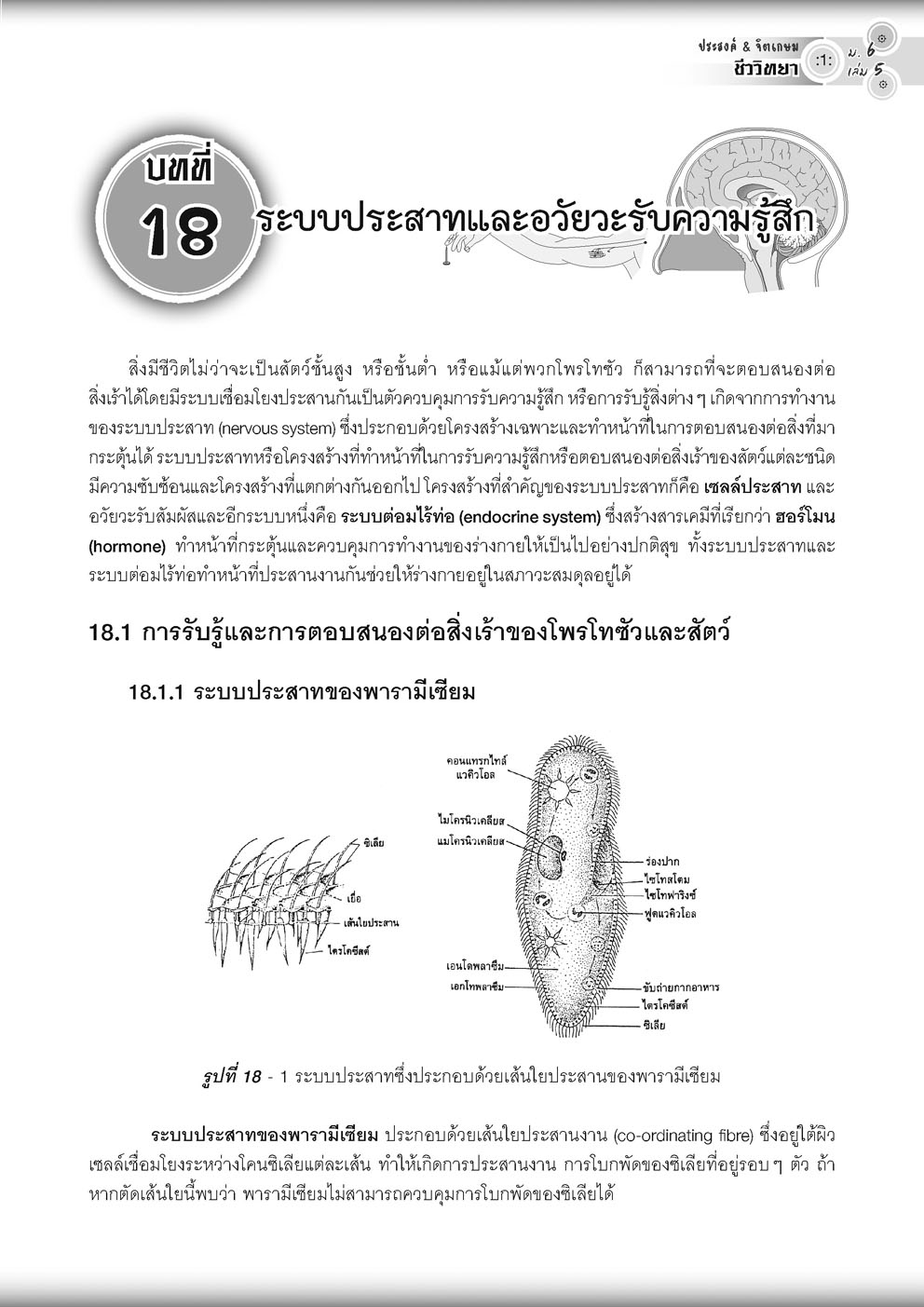 คู่มือ ชีววิทยา เพิ่มเติม ม. 6 เล่ม 5 (หลักสูตรใหม่) โดย พ.ศ.พัฒนา