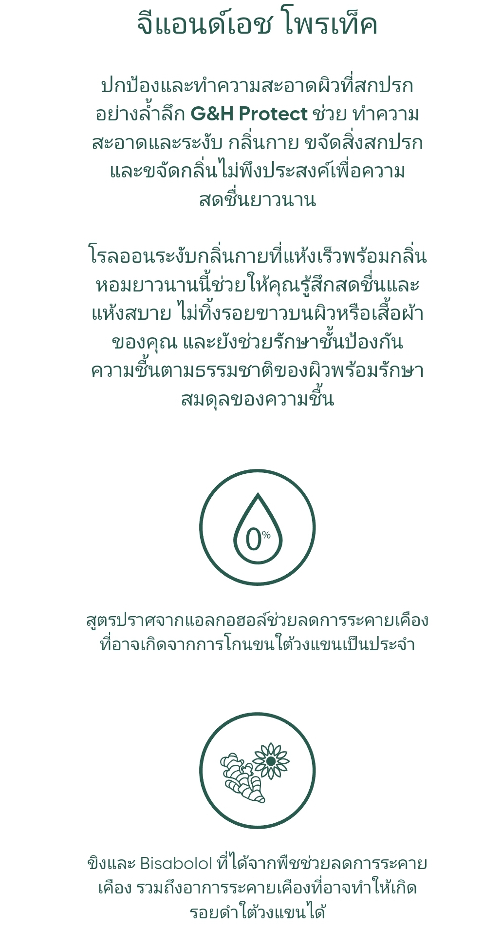 ลูกกลิ้งระงับเหงื่อและกลิ่นกาย จีแอนด์เอช โพรเท็คท์