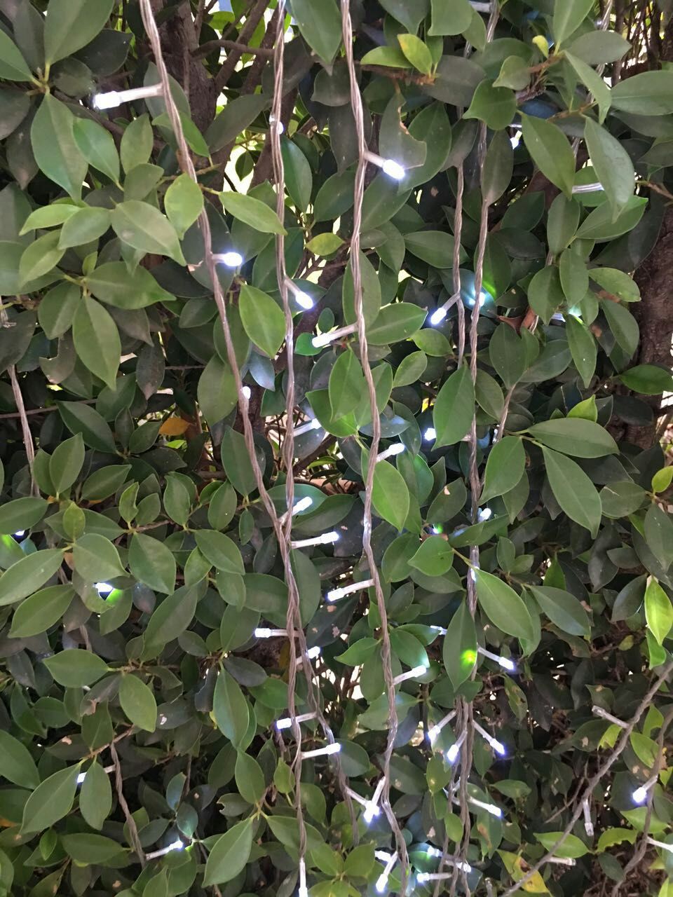 ไฟกระพริบ led ไฟหิ่งห้อย ไฟประดับ 50 led : สีขาว / String light led 50 led: White