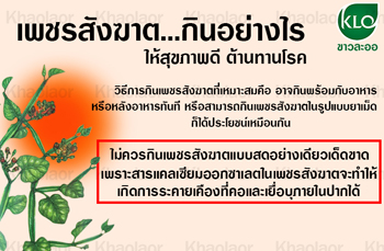 เพชรสังฆาตขาวละออเภสัช