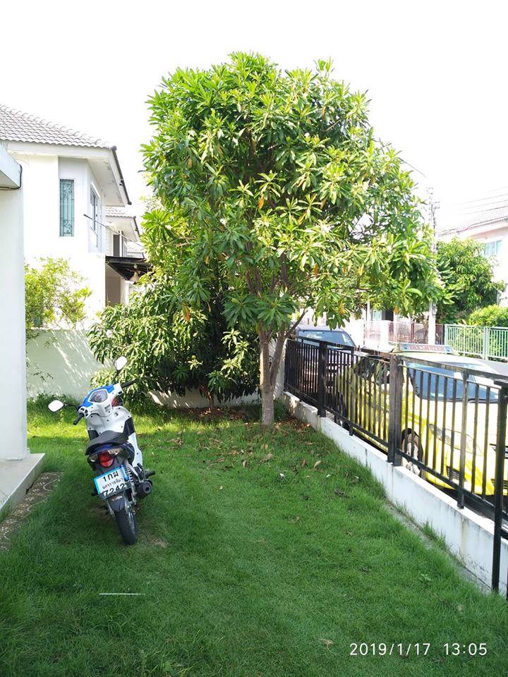 บ้านเดี่ยว2ชั้น 46 ตารางวา หมู่บ้านพฤกษาวิลล์49 สมุทรปราการ (s94)