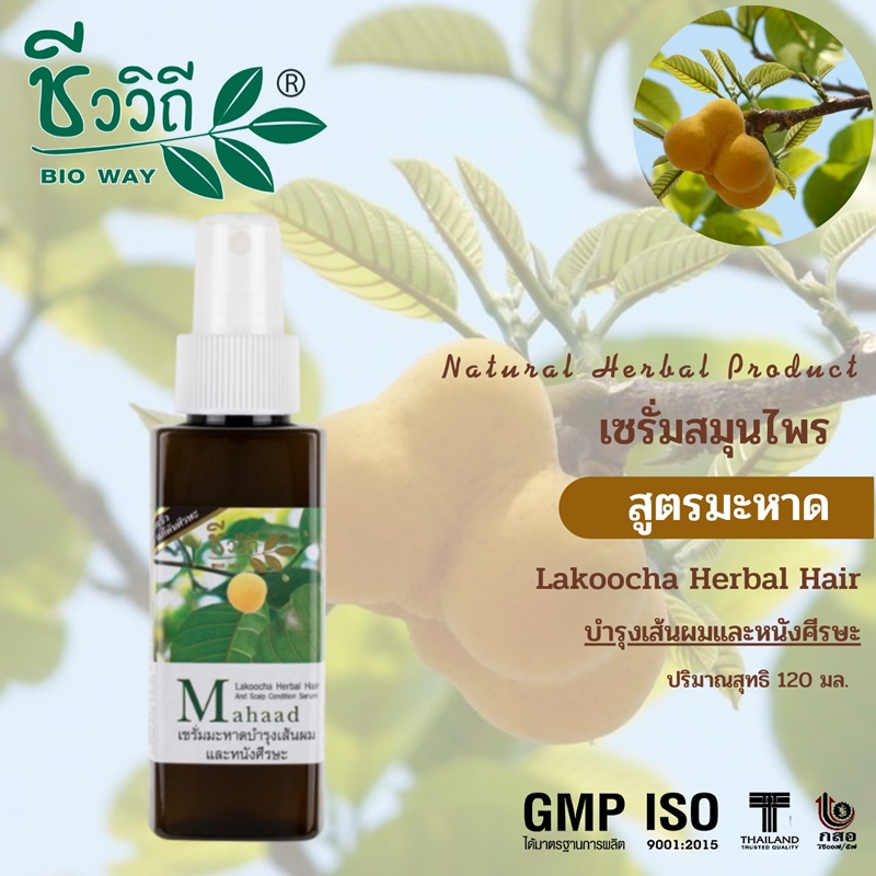 เซรั่มสมุนไพรมะหาดบำรุงผม แก้คัน รังแค ลดผมร่วง ชีววิถี (120 มล.)