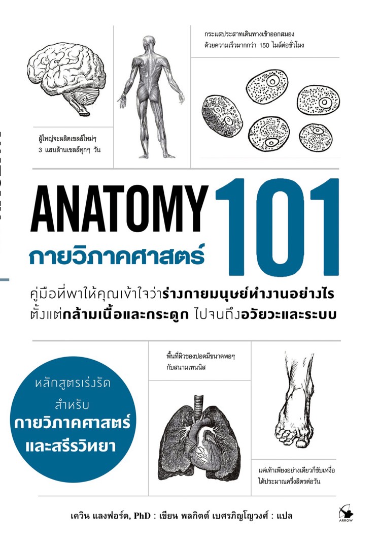 กายวิภาคศาสตร์ 101 Anatomy 101