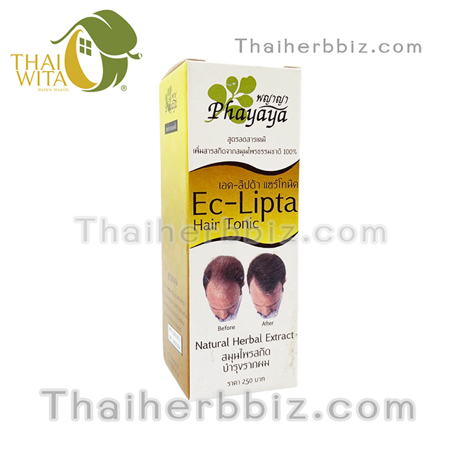 เอค-ลิปต้า แฮร์โทนิค พญาญา Phayaya