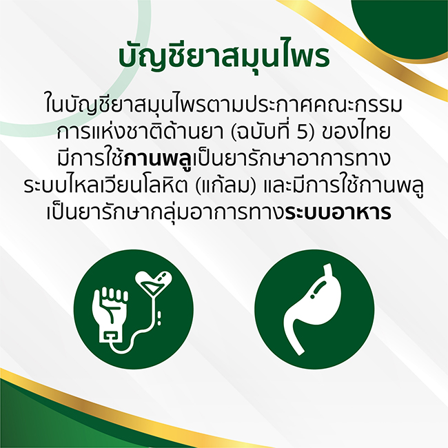 ยาประสะกานพลู ขาวละออ 60 แคปซูล