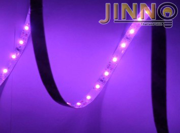 ไฟริบบิ้น 12v รุ่น 3528 IP20 : แบบไม่กันน้ำ