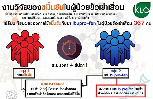 เคอร์มิน500 ผงขมิ้นชันชนิดแคปซูล คุณภาพส่งออก โดยขาวละออ 100 แคปซูล